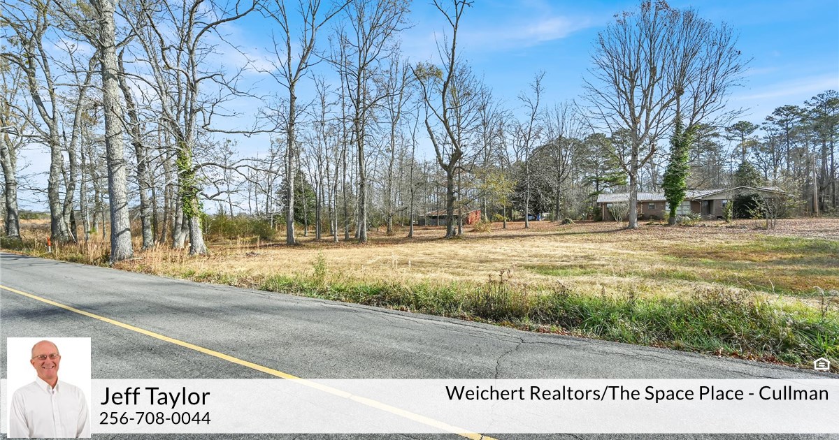 101 Reid Rd, Good Hope, AL 35057